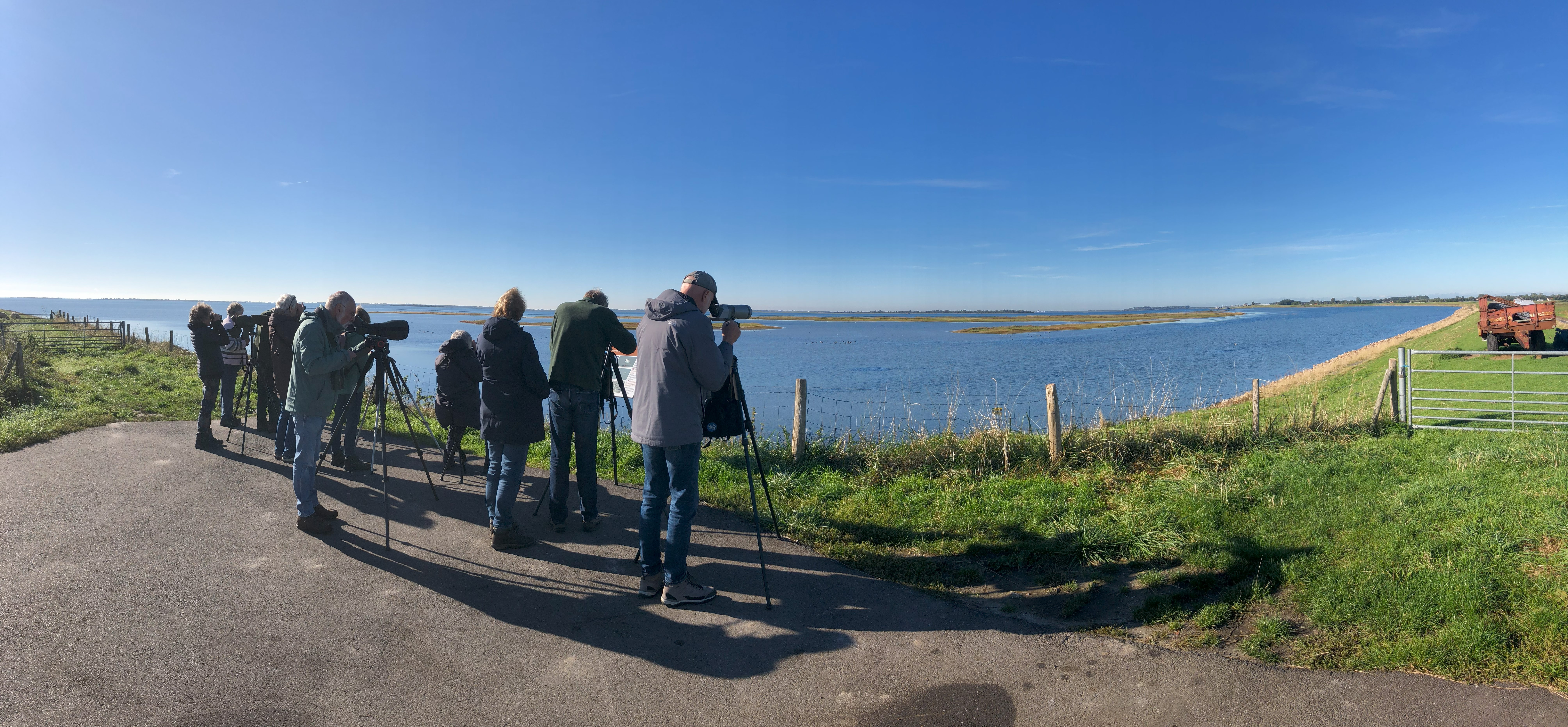 (Markenje). Foto van Rob Eveleens.
Vogelaars in slagorde